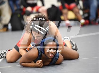 Thumbnail 2 in Houston 6A Dual Wrestling Championships photogallery.