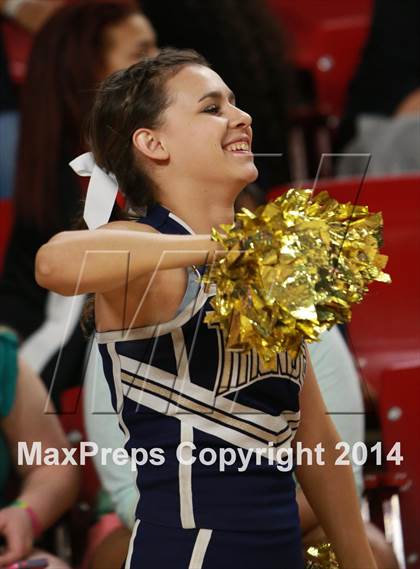 Thumbnail 2 in Desert Vista vs. Dobson (AIA D1 Semifinal) photogallery.