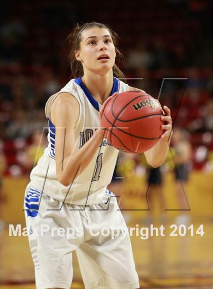 Thumbnail 1 in Desert Vista vs. Dobson (AIA D1 Semifinal) photogallery.