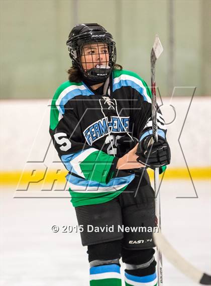 Thumbnail 3 in Fermi/Enfield/East Granby @ Farmington/Avon/Windsor photogallery.