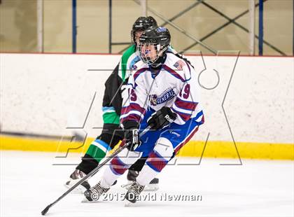Thumbnail 3 in Fermi/Enfield/East Granby @ Farmington/Avon/Windsor photogallery.