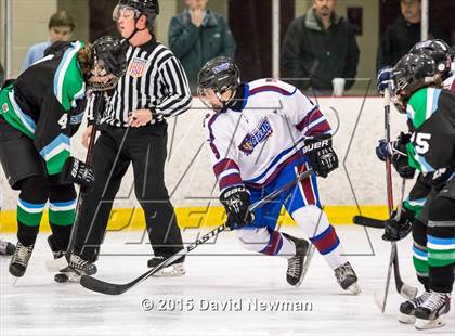Thumbnail 1 in Fermi/Enfield/East Granby @ Farmington/Avon/Windsor photogallery.