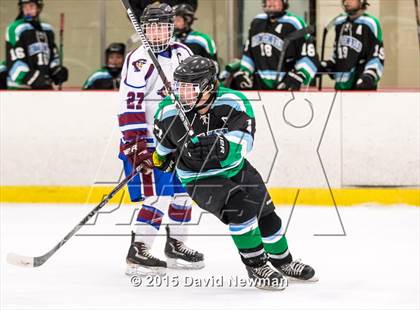 Thumbnail 3 in Fermi/Enfield/East Granby @ Farmington/Avon/Windsor photogallery.