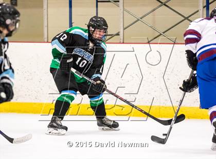 Thumbnail 1 in Fermi/Enfield/East Granby @ Farmington/Avon/Windsor photogallery.