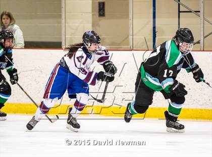 Thumbnail 2 in Fermi/Enfield/East Granby @ Farmington/Avon/Windsor photogallery.