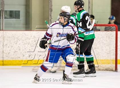 Thumbnail 1 in Fermi/Enfield/East Granby @ Farmington/Avon/Windsor photogallery.