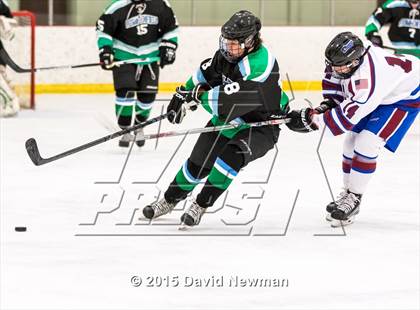 Thumbnail 2 in Fermi/Enfield/East Granby @ Farmington/Avon/Windsor photogallery.