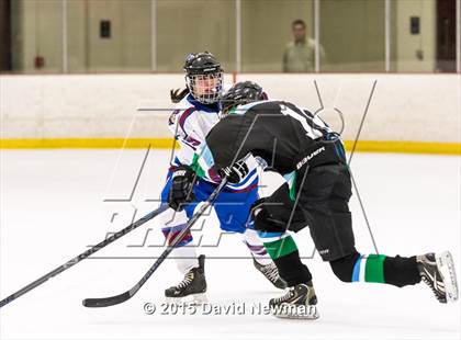 Thumbnail 1 in Fermi/Enfield/East Granby @ Farmington/Avon/Windsor photogallery.