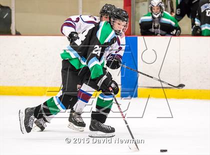 Thumbnail 2 in Fermi/Enfield/East Granby @ Farmington/Avon/Windsor photogallery.