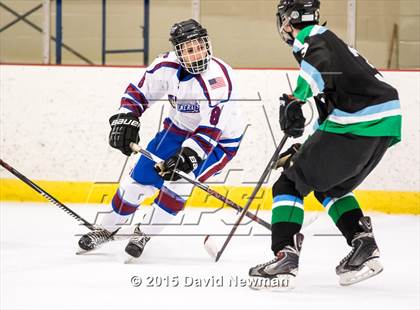 Thumbnail 3 in Fermi/Enfield/East Granby @ Farmington/Avon/Windsor photogallery.