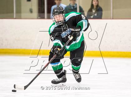 Thumbnail 1 in Fermi/Enfield/East Granby @ Farmington/Avon/Windsor photogallery.
