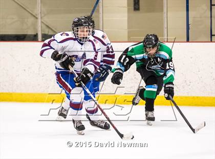 Thumbnail 1 in Fermi/Enfield/East Granby @ Farmington/Avon/Windsor photogallery.