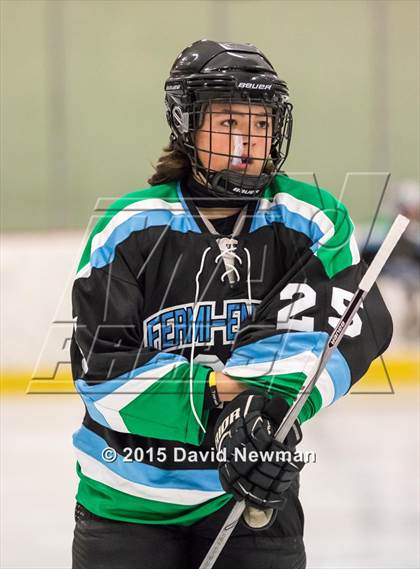 Thumbnail 1 in Fermi/Enfield/East Granby @ Farmington/Avon/Windsor photogallery.