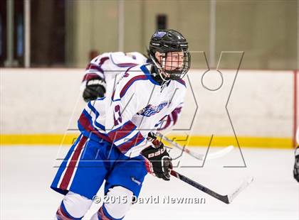 Thumbnail 2 in Fermi/Enfield/East Granby @ Farmington/Avon/Windsor photogallery.