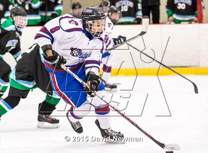 Thumbnail 3 in Fermi/Enfield/East Granby @ Farmington/Avon/Windsor photogallery.