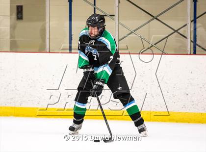 Thumbnail 3 in Fermi/Enfield/East Granby @ Farmington/Avon/Windsor photogallery.