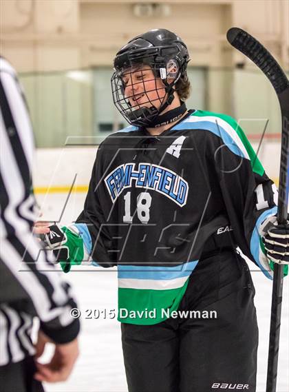 Thumbnail 1 in Fermi/Enfield/East Granby @ Farmington/Avon/Windsor photogallery.