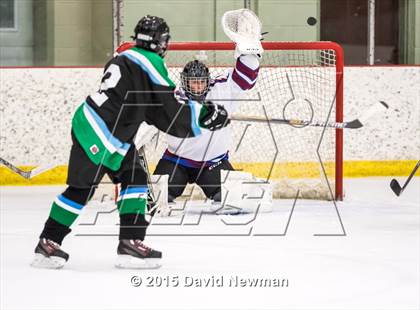 Thumbnail 3 in Fermi/Enfield/East Granby @ Farmington/Avon/Windsor photogallery.