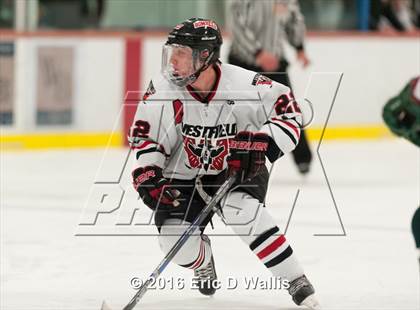 Thumbnail 3 in Minnechaug Regional @ Westfield photogallery.