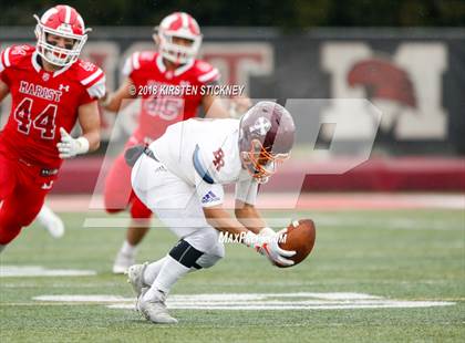 Thumbnail 1 in Brother Rice @ Marist (IHSA 8A Semifinal) photogallery.