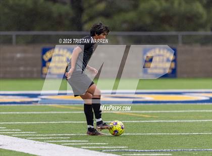 Thumbnail 1 in Hernando @ Olive Branch photogallery.