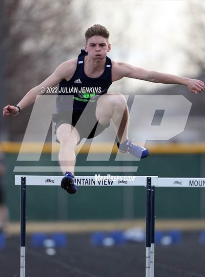 Thumbnail 2 in Borah @ Mountain View photogallery.