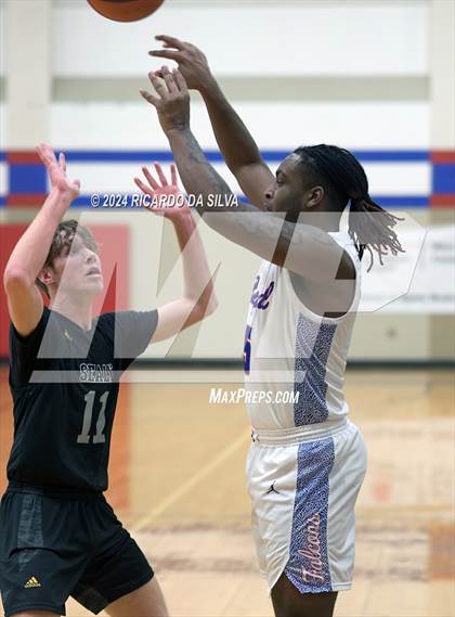 Thumbnail 1 in Royal vs Sealy photogallery.