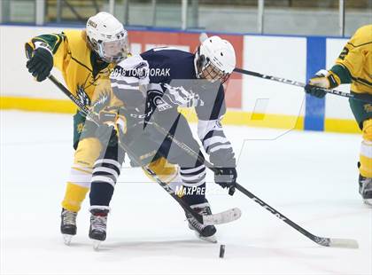 Thumbnail 3 in Chatham @ Morris Knolls photogallery.