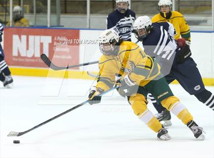 Thumbnail 3 in Chatham @ Morris Knolls photogallery.