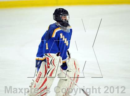Thumbnail 1 in Mamaroneck @ Mahopac photogallery.
