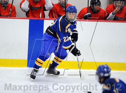 Thumbnail 2 in Mamaroneck @ Mahopac photogallery.