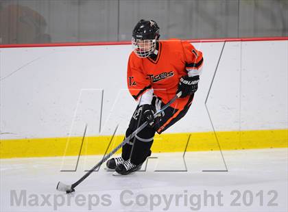 Thumbnail 2 in Mamaroneck @ Mahopac photogallery.