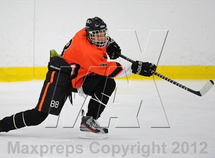 Thumbnail 3 in Mamaroneck @ Mahopac photogallery.