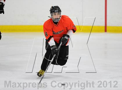 Thumbnail 2 in Mamaroneck @ Mahopac photogallery.