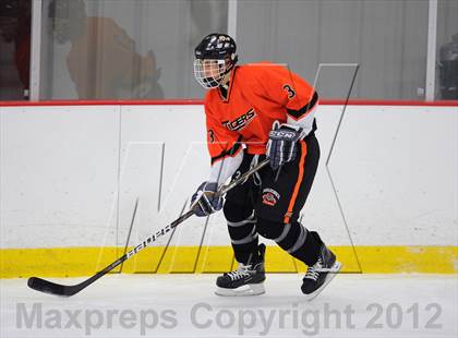 Thumbnail 3 in Mamaroneck @ Mahopac photogallery.