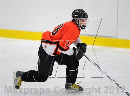 Thumbnail 3 in Mamaroneck @ Mahopac photogallery.