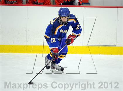Thumbnail 3 in Mamaroneck @ Mahopac photogallery.