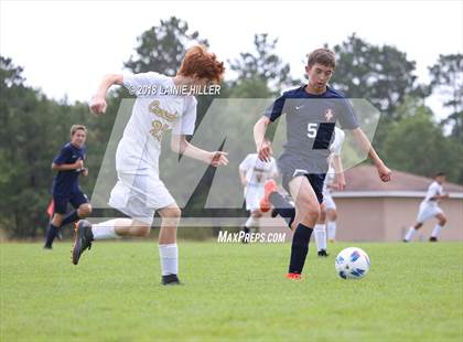Thumbnail 2 in Bemidji vs St Cloud Cathedral photogallery.
