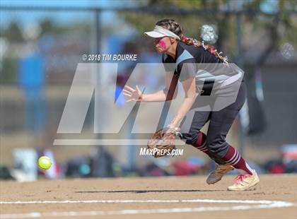 Thumbnail 1 in Silver Creek vs. Evergreen (CHSAA 4A 1st Round Playoff) photogallery.