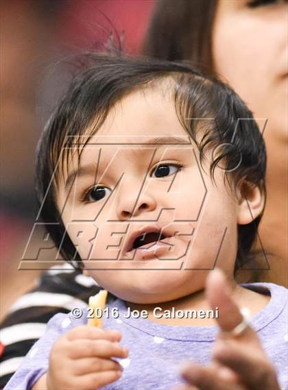 Thumbnail 2 in San Antonio All-Star Game (Alamodome) photogallery.