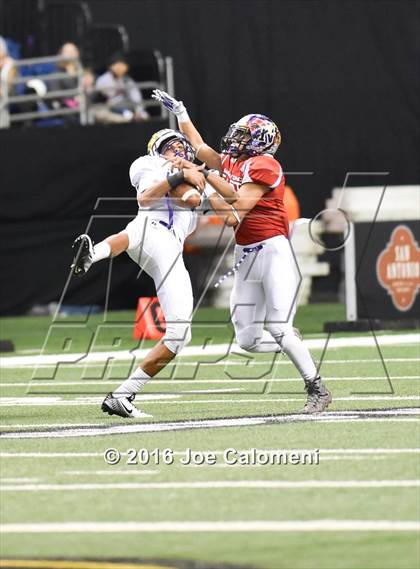 Thumbnail 1 in San Antonio All-Star Game (Alamodome) photogallery.