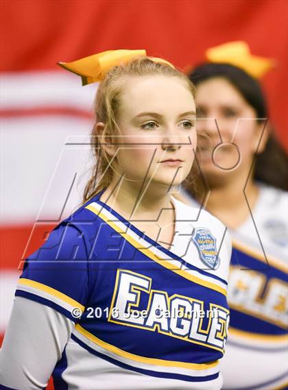Thumbnail 3 in San Antonio All-Star Game (Alamodome) photogallery.
