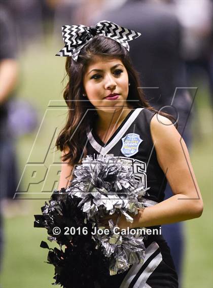 Thumbnail 3 in San Antonio All-Star Game (Alamodome) photogallery.