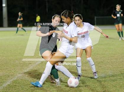 Thumbnail 3 in Creekside @ Fleming Island photogallery.