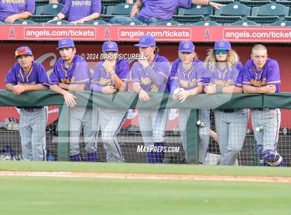 Thumbnail 3 in Sunrise Mountain vs Casteel (AIA 5A Final) photogallery.