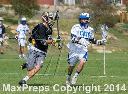 Thumbnail 2 in Palos Verdes Peninsula @ Cate photogallery.