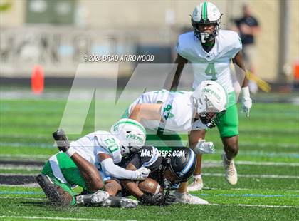 Thumbnail 1 in Myers Park @ Hough photogallery.