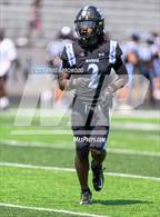 Photo from the gallery "Myers Park @ Hough"