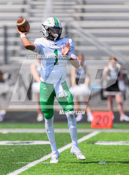 Thumbnail 3 in Myers Park @ Hough photogallery.