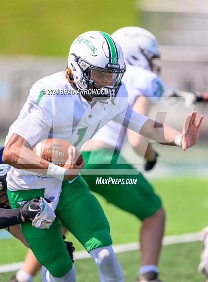 Thumbnail 1 in Myers Park @ Hough photogallery.